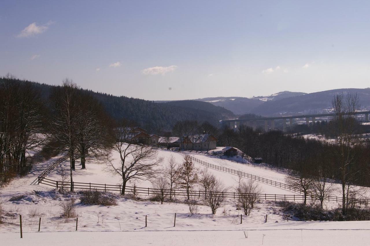 Haiger Reiterhof Und Pension Eichenhof מראה חיצוני תמונה
